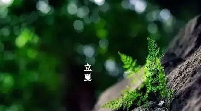 大白管業：立夏你好，夏天你好！